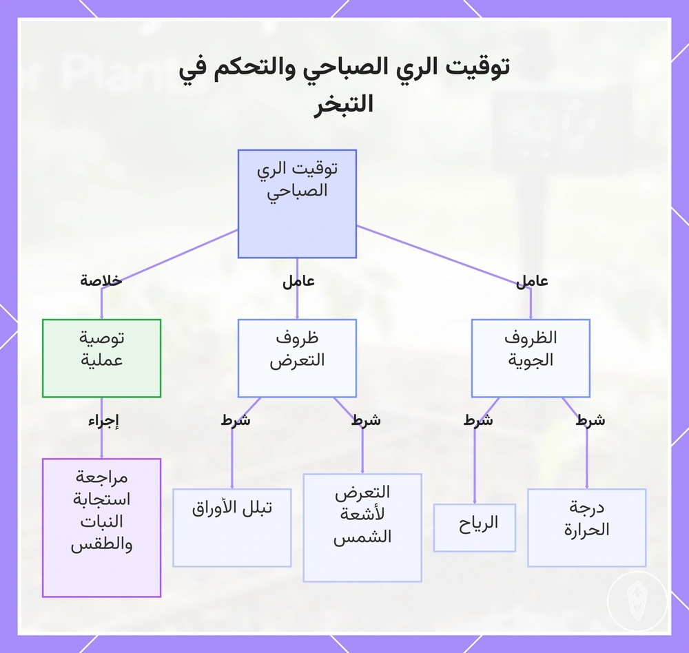 توقيت الري الصباحي والتحكم في التبخر