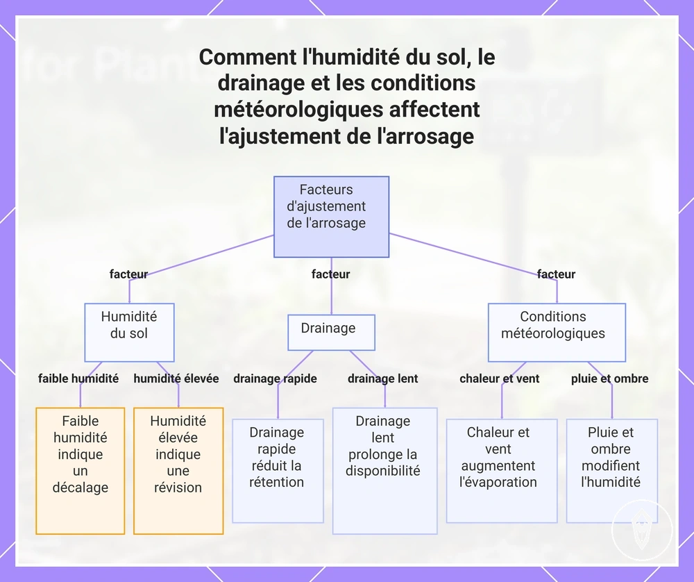 Comment l'humidité du sol, le drainage et les conditions météorologiques affectent l'ajustement de l'arrosage
