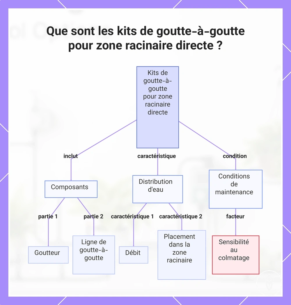 Que sont les kits de goutte-à-goutte pour zone racinaire directe ?