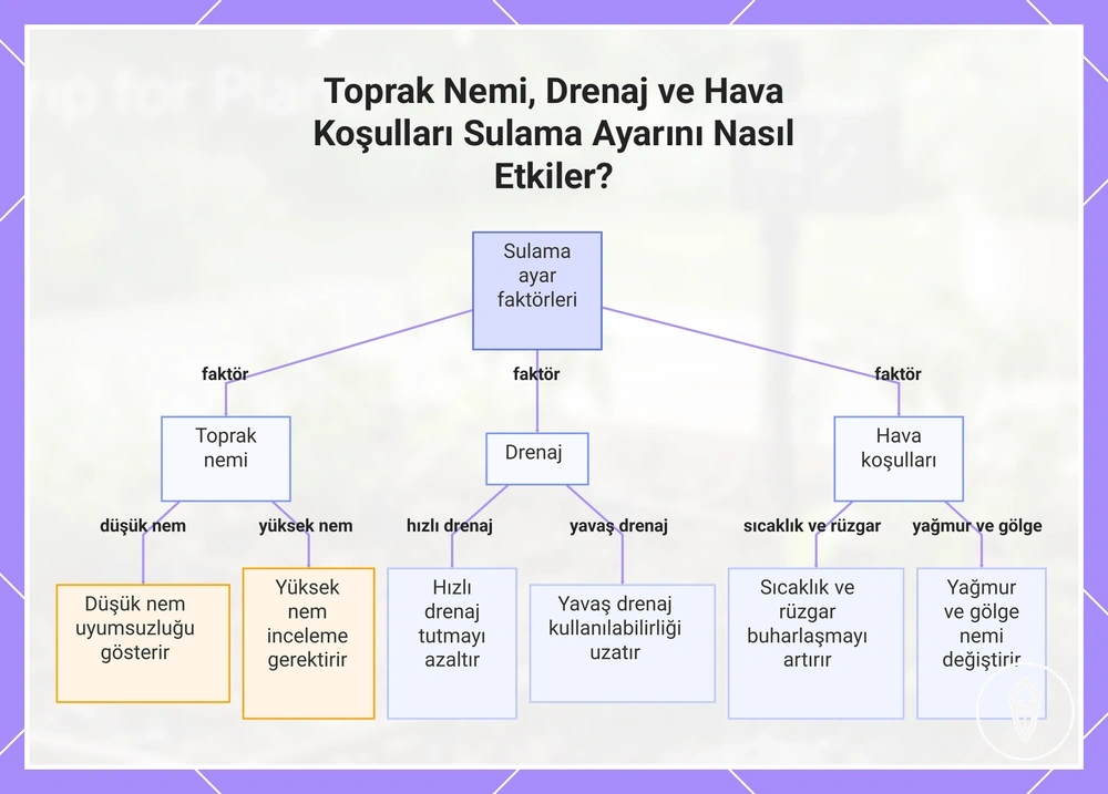 Toprak Nemi, Drenaj ve Hava Koşulları Sulama Ayarını Nasıl Etkiler?