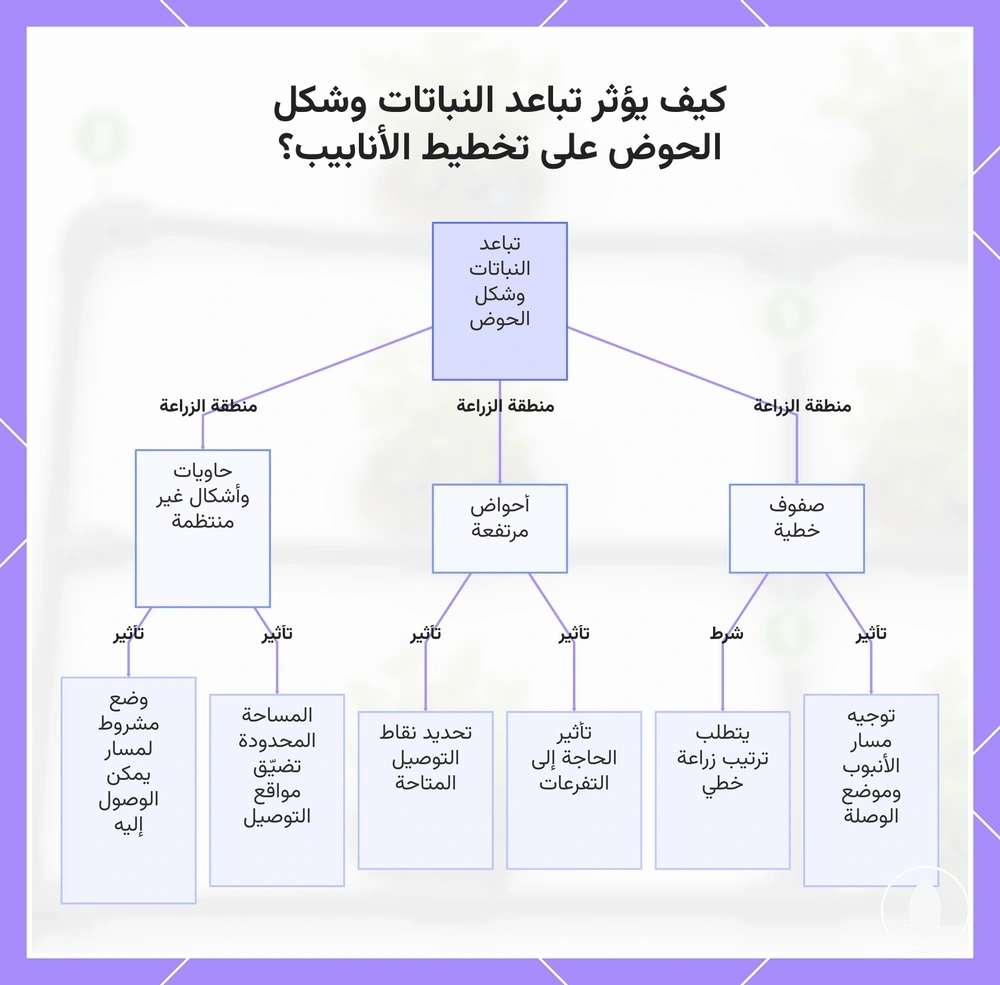 كيف يؤثر تباعد النباتات وشكل الحوض على تخطيط الأنابيب؟