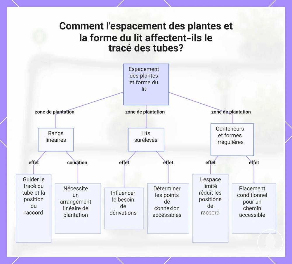 Comment l'espacement des plantes et la forme du lit affectent-ils le tracé des tubes?