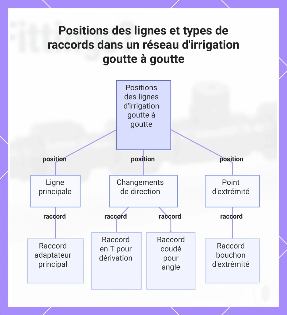 Positions des lignes et types de raccords dans un réseau d'irrigation goutte à goutte