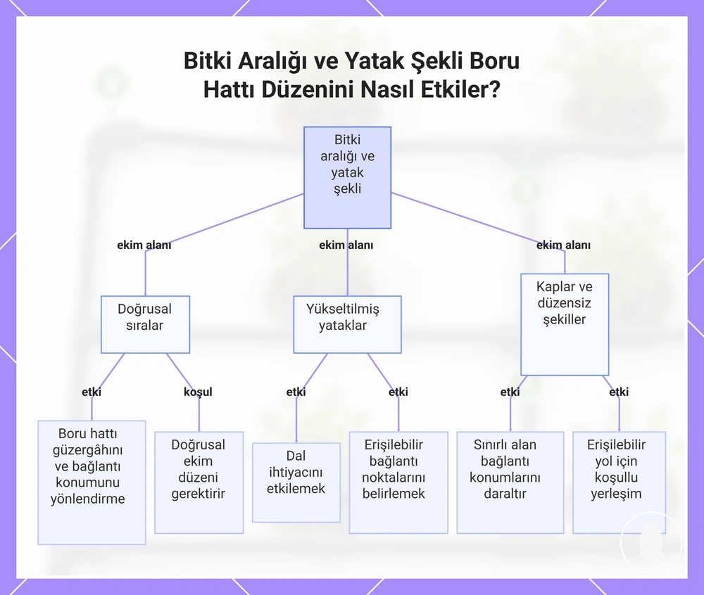 Bitki Aralığı ve Yatak Şekli Boru Hattı Düzenini Nasıl Etkiler?